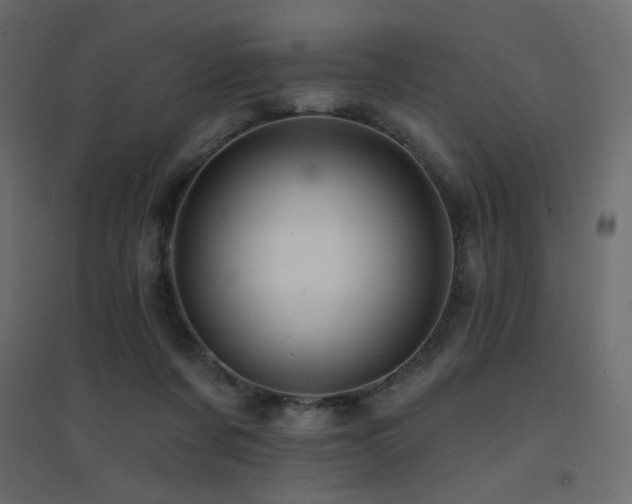 X0000094900311200711291238