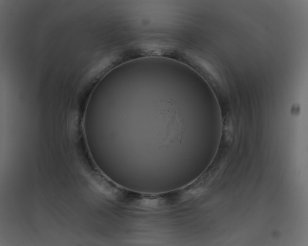 X0000094900314200711291238