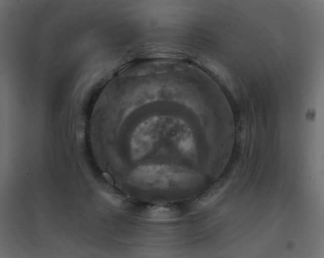 X0000094900315200711291238