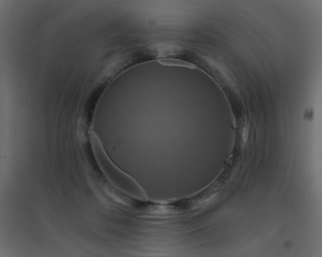 X0000094900316200711291238