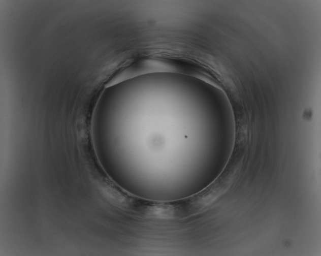 X0000094900317200711291238