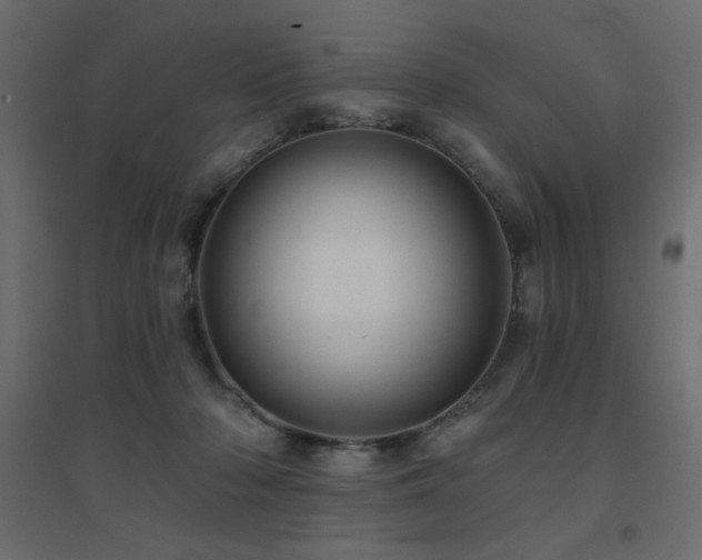 X0000094900318200711291238
