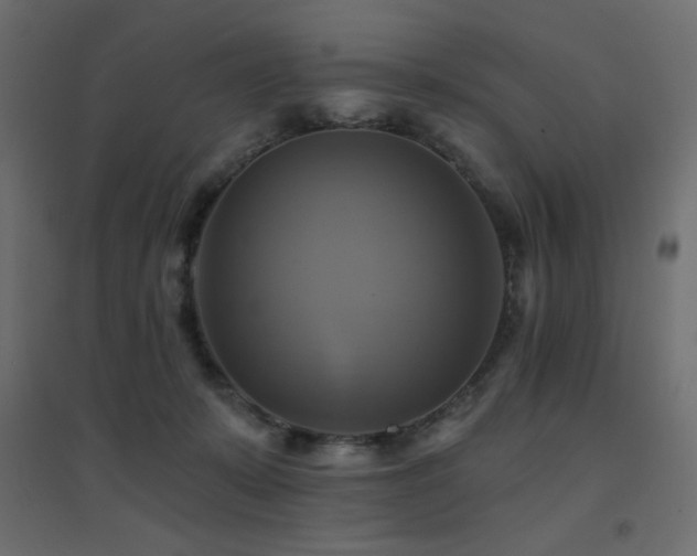 X0000094900319200711291238
