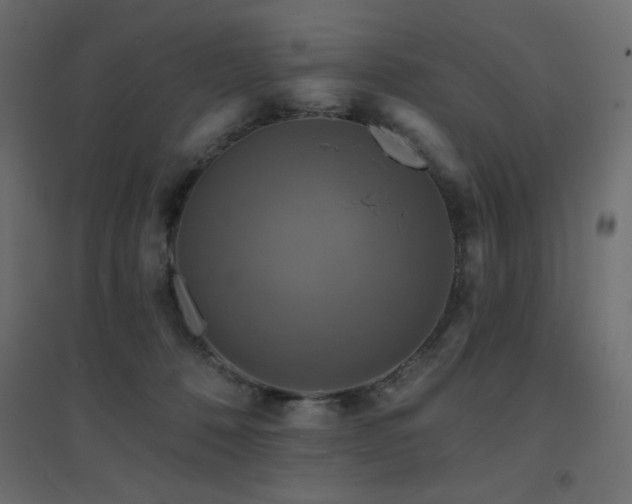 X0000094900320200711291238