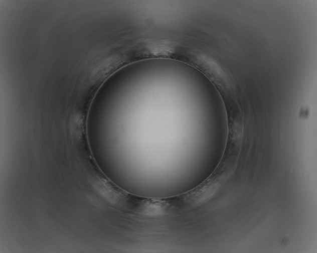 X0000094900321200711291238