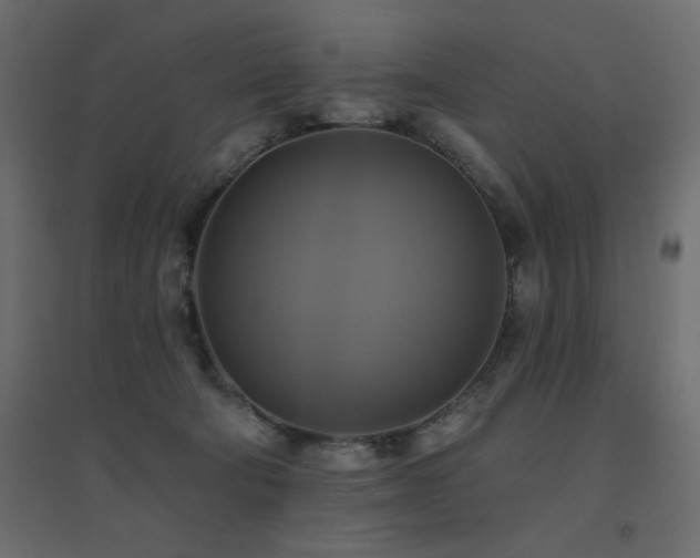 X0000094900322200711291238