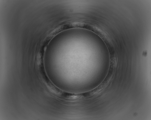 X0000094900323200711291238
