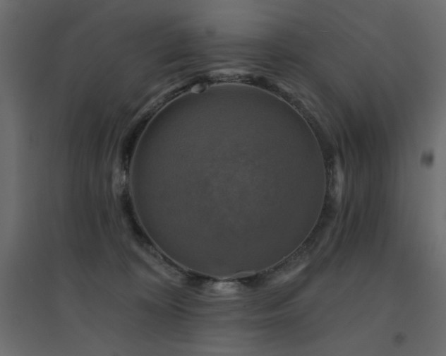 X0000094900324200711291238
