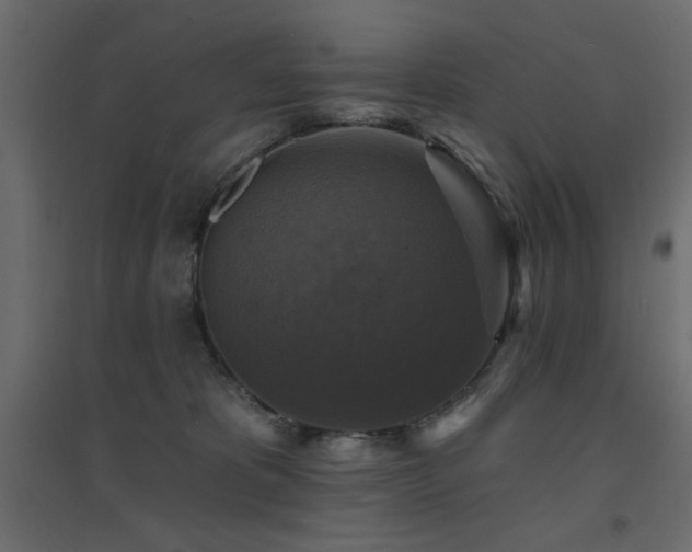X0000094900325200711291238