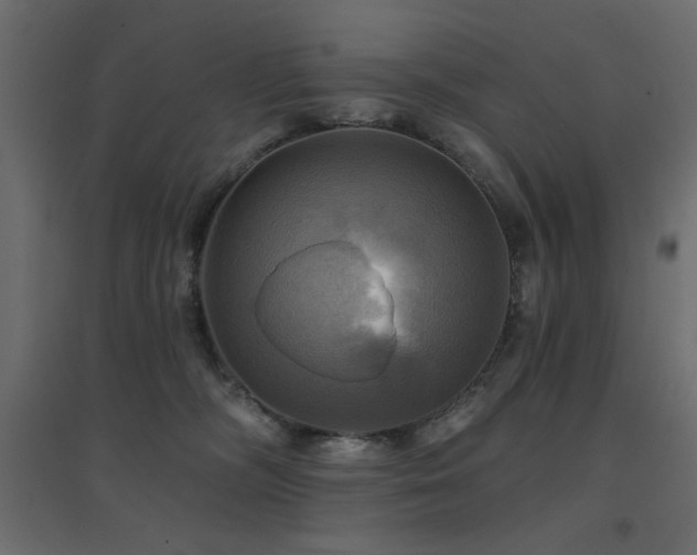 X0000094900326200711291238