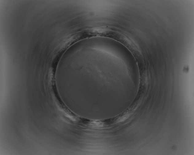 X0000094900328200711291238