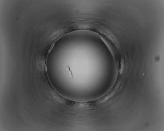 X0000094900329200711291238