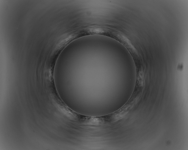 X0000094900330200711291238