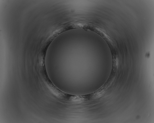 X0000094900331200711291238