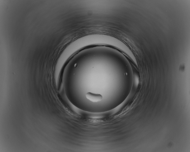 X0000094900333200711291238