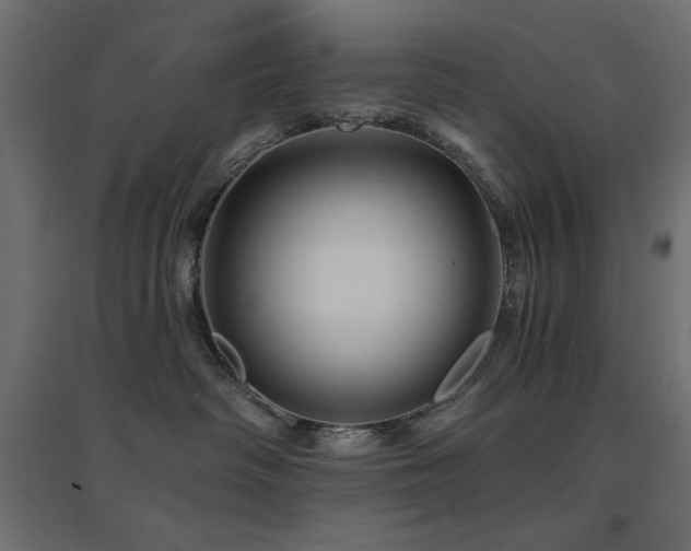 X0000094900334200711291238
