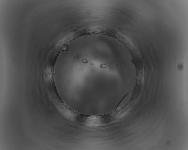 X0000094900335200711291238