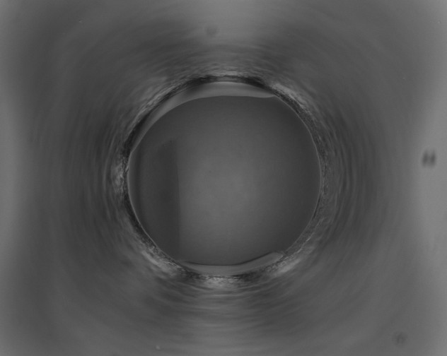 X0000094900336200711291238