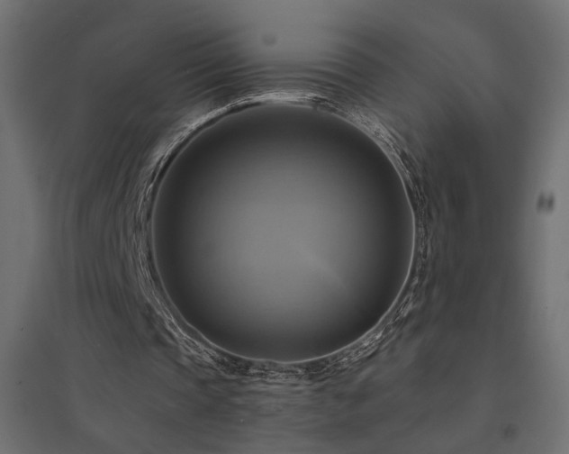 X0000094900337200711291237