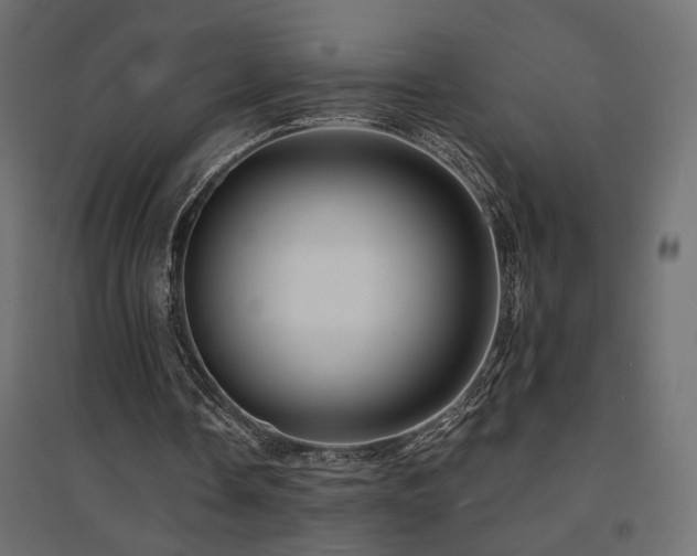 X0000094900338200711291237