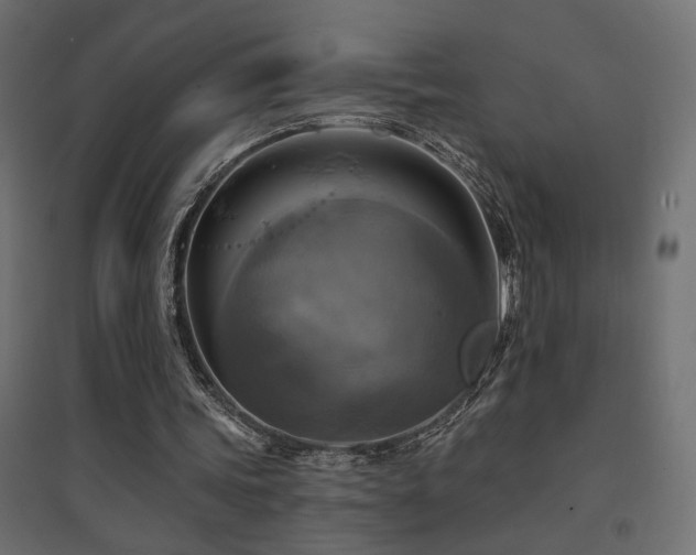X0000094900339200711291237