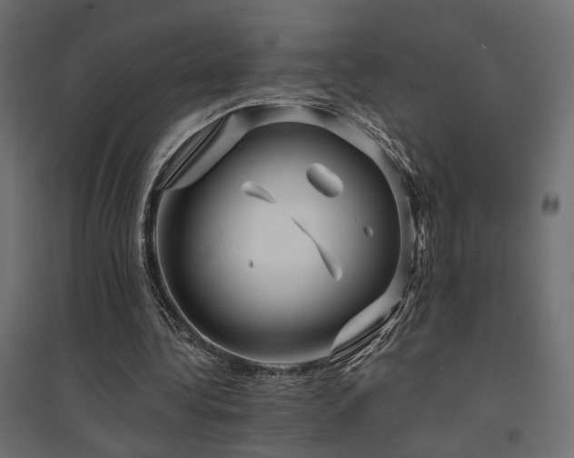 X0000094900340200711291237