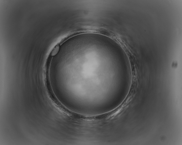X0000094900342200711291237