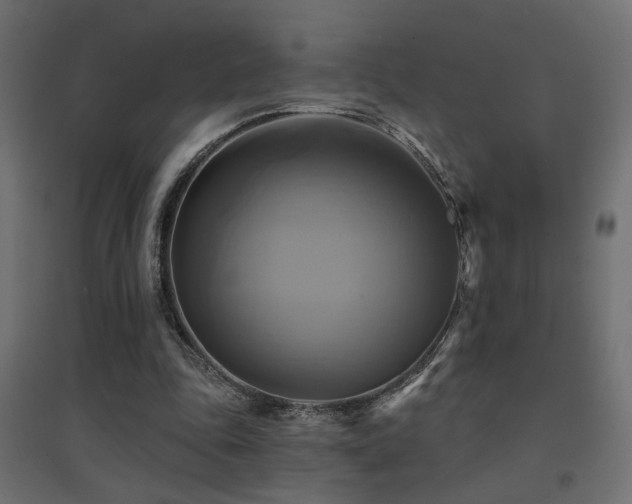 X0000094900343200711291237