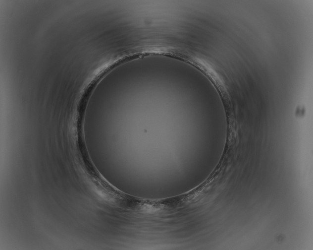 X0000094900346200711291237