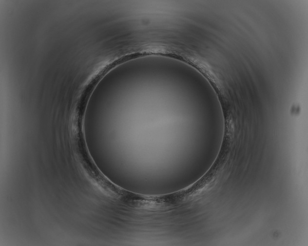 X0000094900347200711291237
