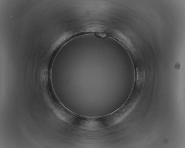 X0000094900348200711291237