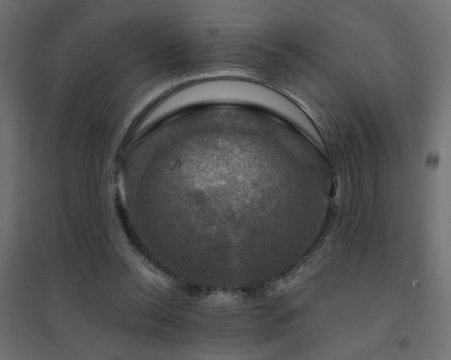 X0000094900350200711291237