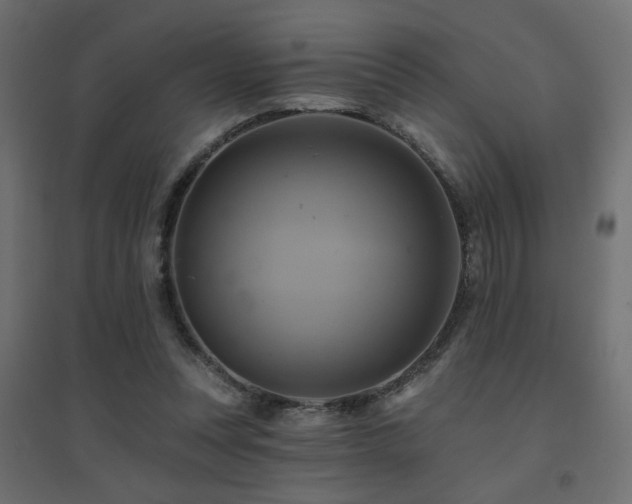 X0000094900351200711291237