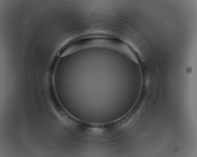 X0000094900352200711291237