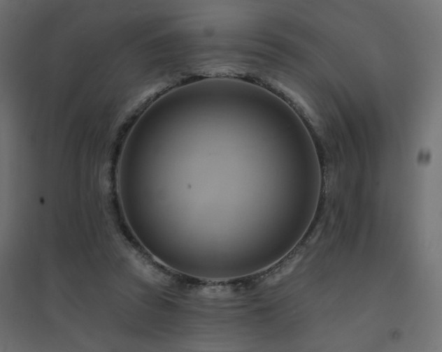 X0000094900353200711291237