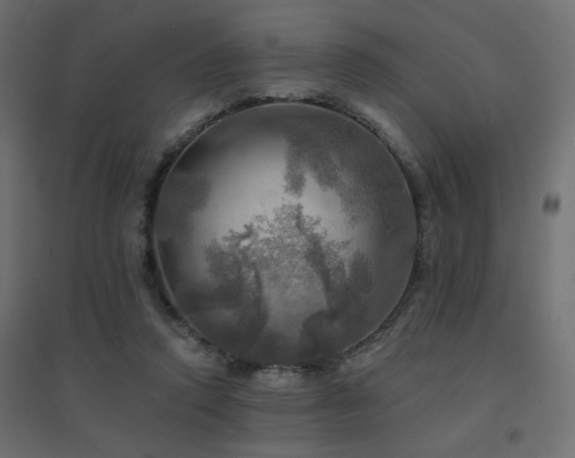 X0000094900354200711291237