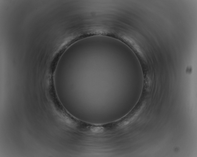 X0000094900355200711291237