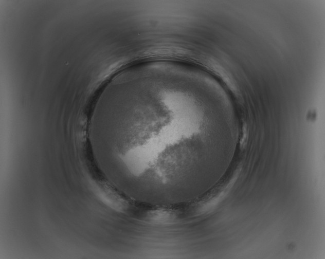 X0000094900356200711291237
