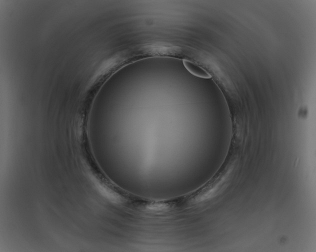 X0000094900357200711291238