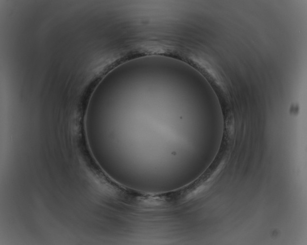 X0000094900359200711291238