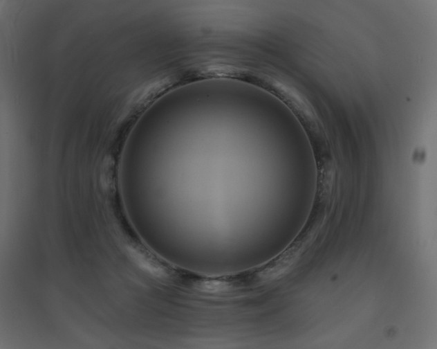 X0000094900361200711291238