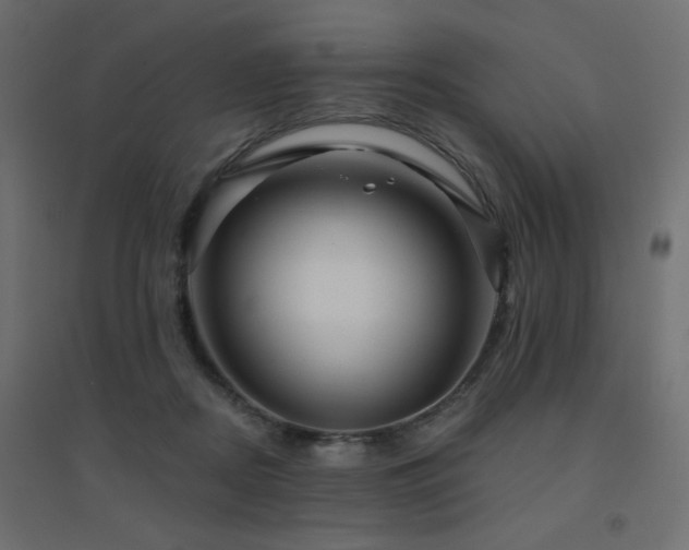 X0000094900362200711291238