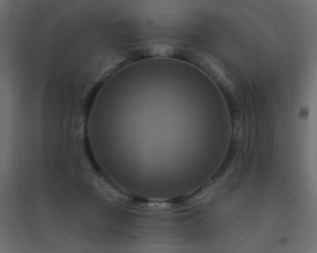 X0000094900363200711291238