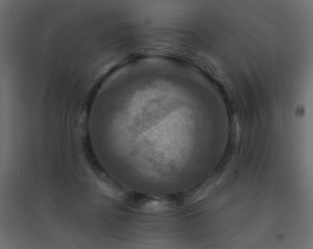 X0000094900364200711291238