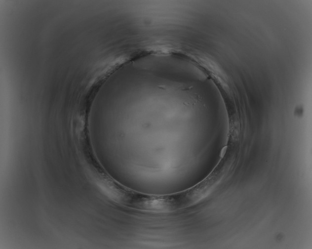 X0000094900365200711291238
