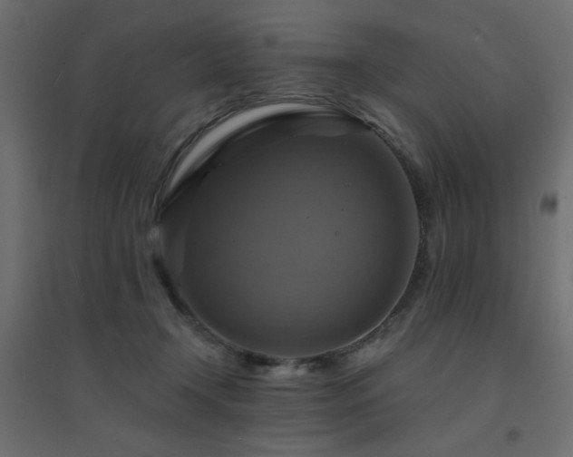 X0000094900366200711291238