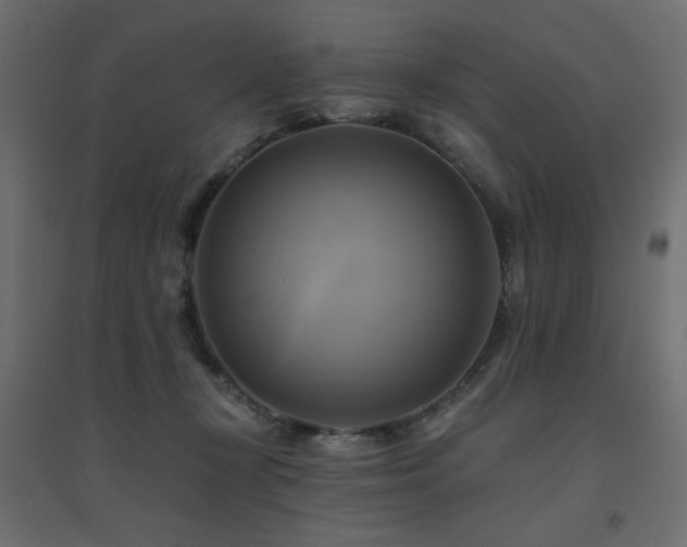 X0000094900367200711291238