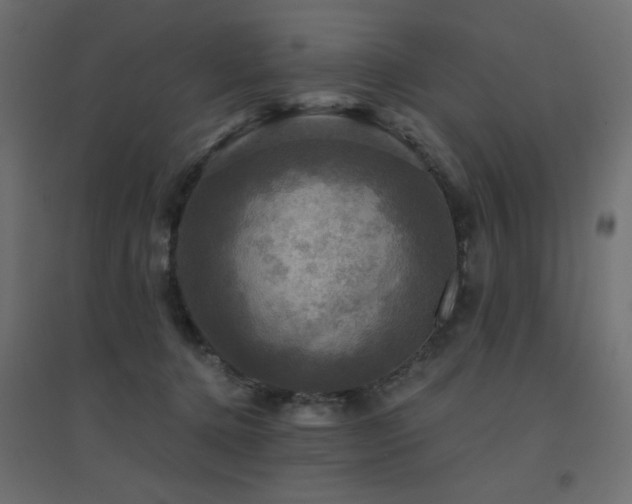X0000094900368200711291238