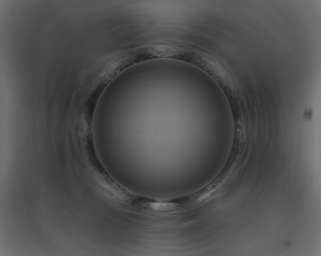 X0000094900371200711291238