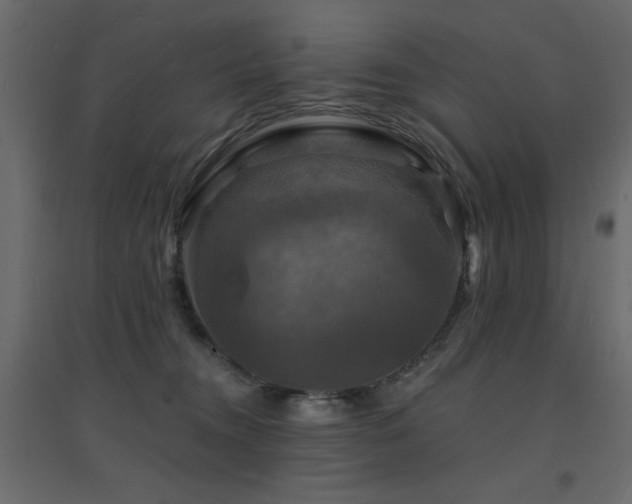 X0000094900372200711291238
